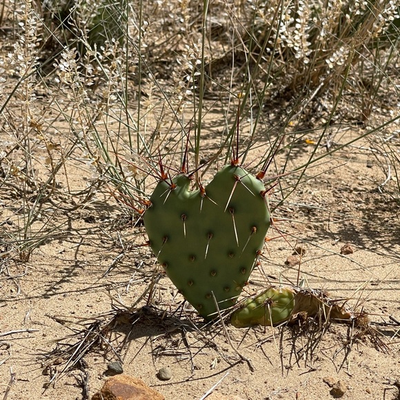 Meet your Posher, Mellissa - Picture 6 of 12